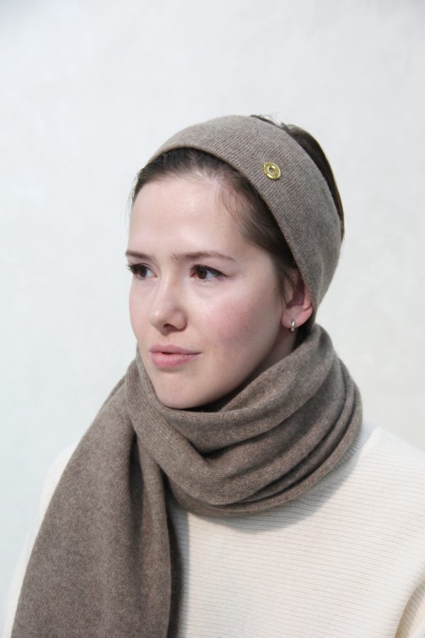 Толгойн кист